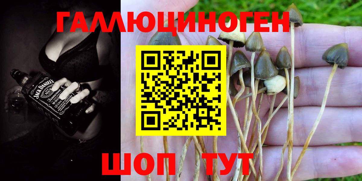 Галлюциногенные грибы MAGIC MUSHROOMS  Псилоцибиновые грибы ЛСД  Новотроицк  Вход с VPN 